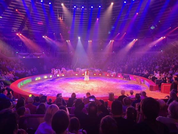 Circus Zelt, Clowns, Tiere, H&ouml;chstleistungen und wir mittendrin.