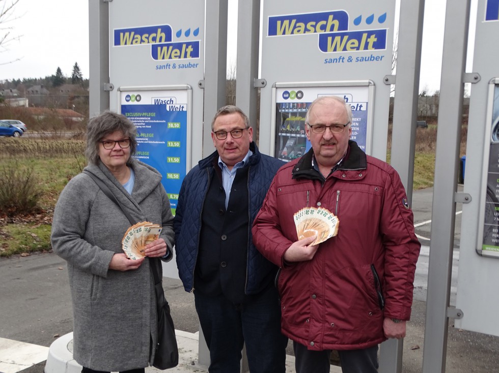 Sonnenblumen bringen Gewinn 